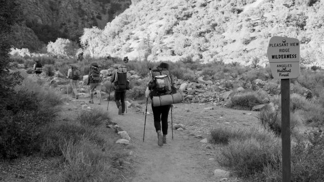 Entering Pleasant View Ridge Wilderness Area
