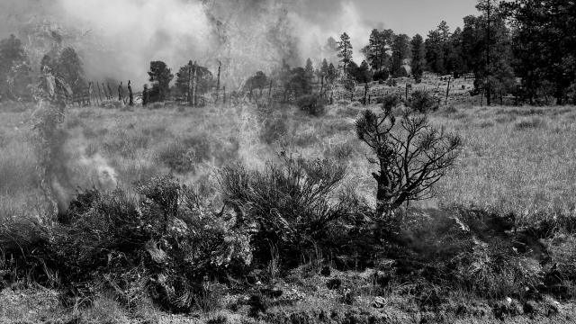 Grass is burning in Arizona