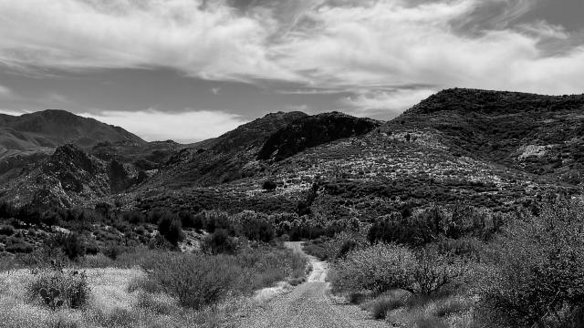 The trailhead at Beeline Highway