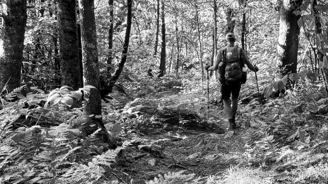 Top O' on the Long Trail