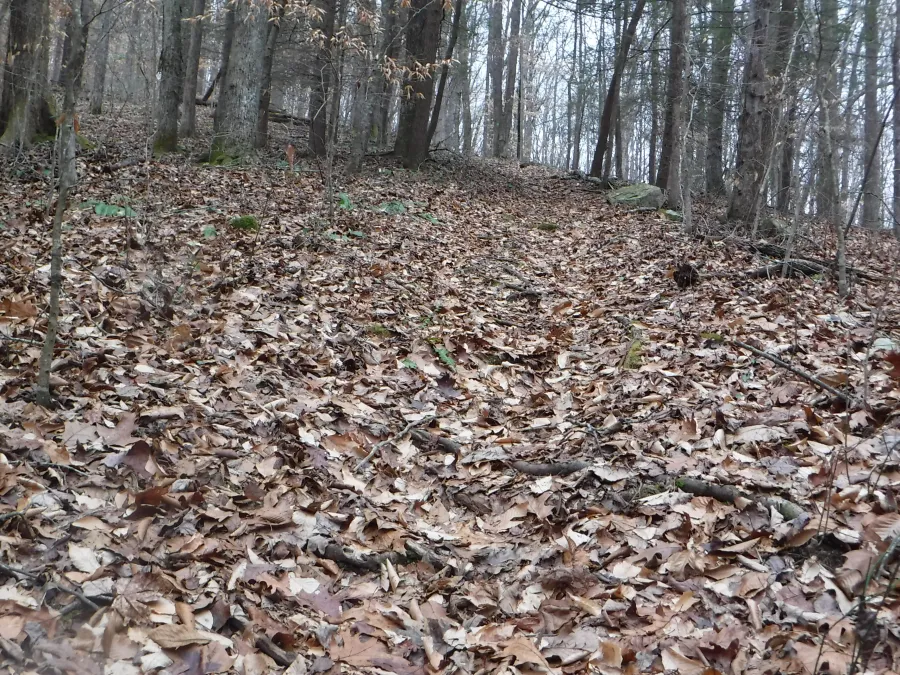 Chimney Top Trail gets steep