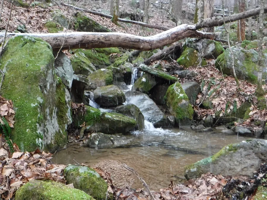 Rocky Fork Branch