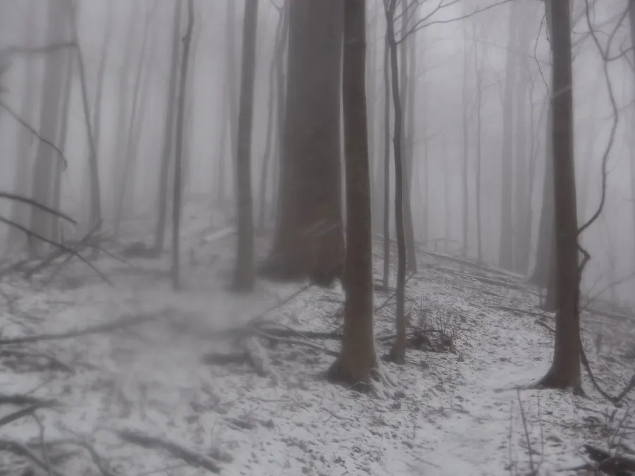 Snow covers the trail