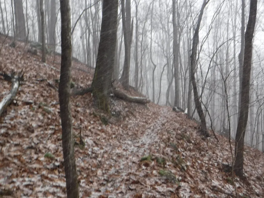 Not much snow on Spicewood Trail