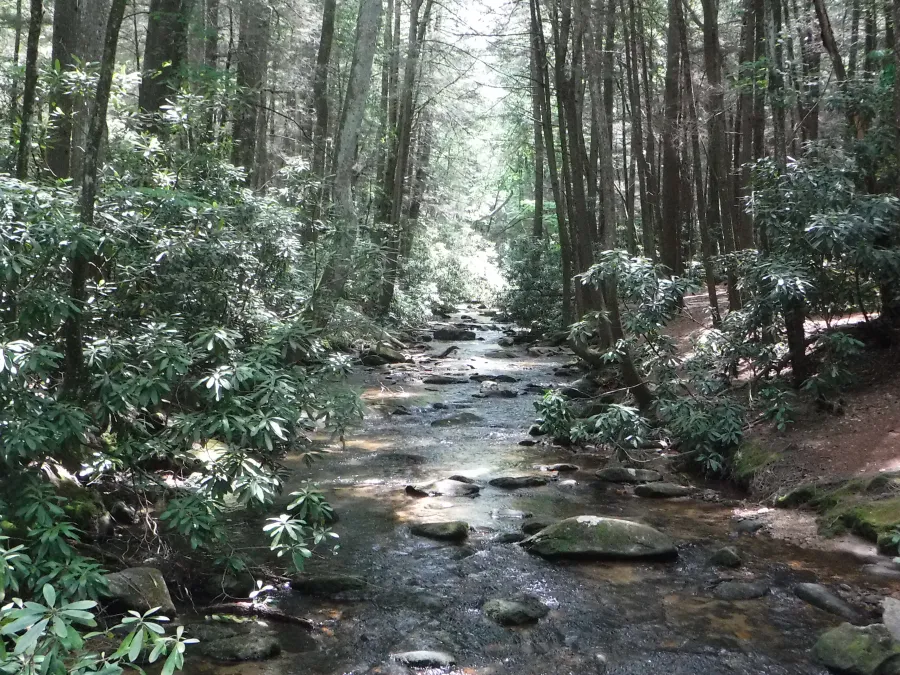 Creek crossing
