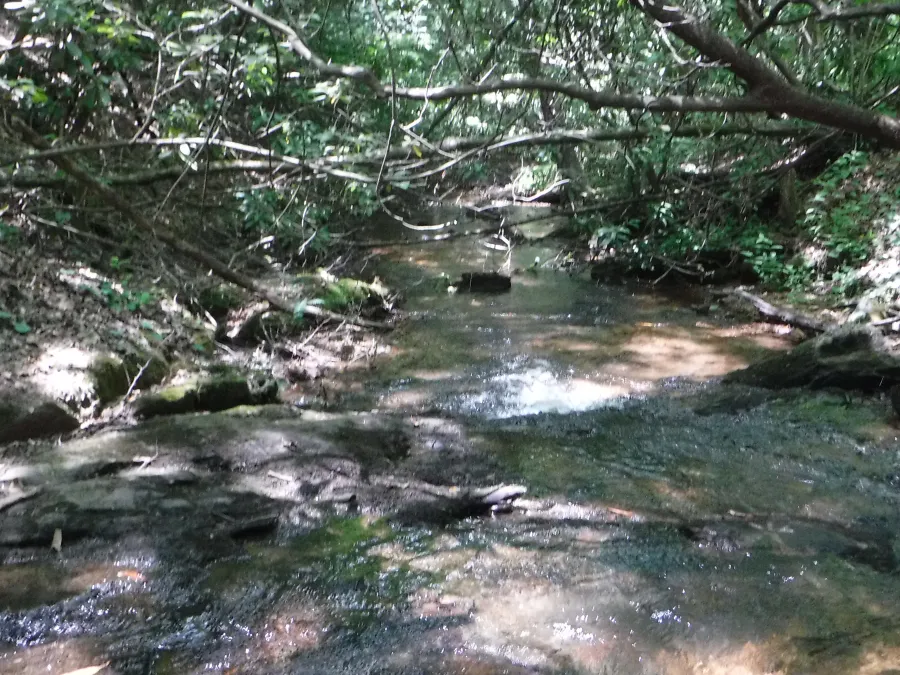 Justus Creek