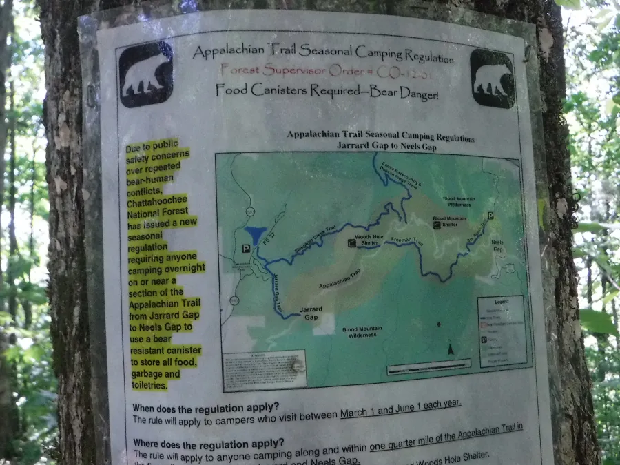 Bear warning