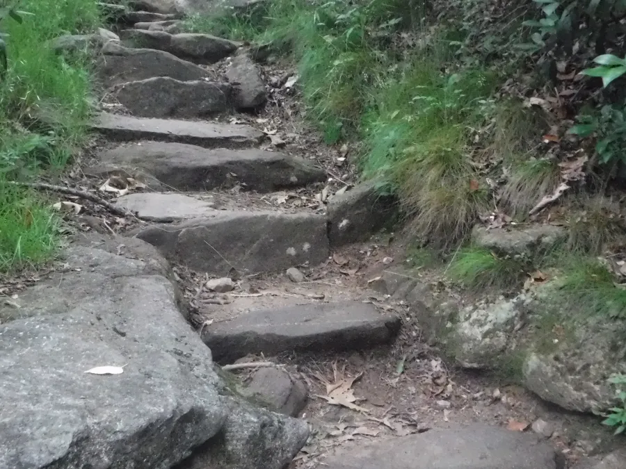 Stone steps