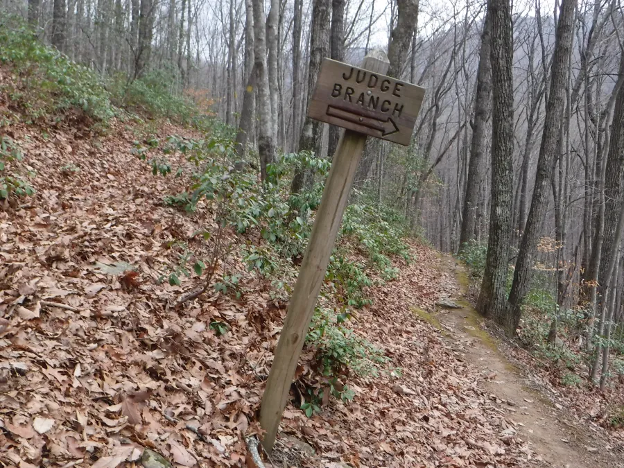 Trail junction