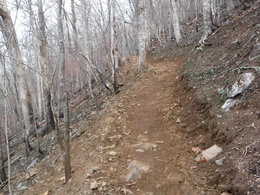 Easy trail