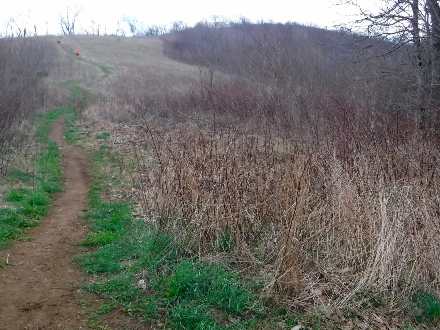 Side trail to Siler Bald