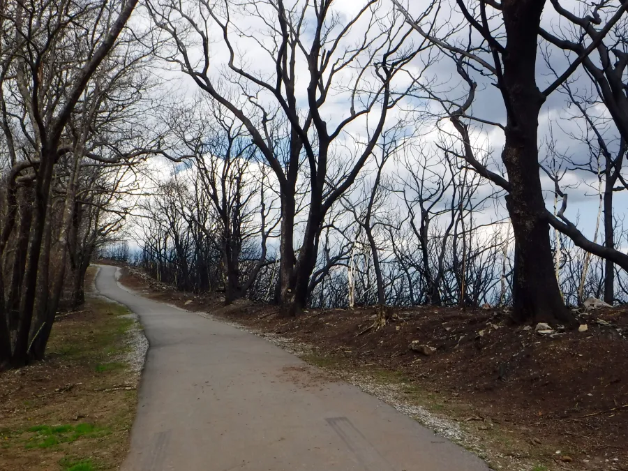 Paved path to the summit