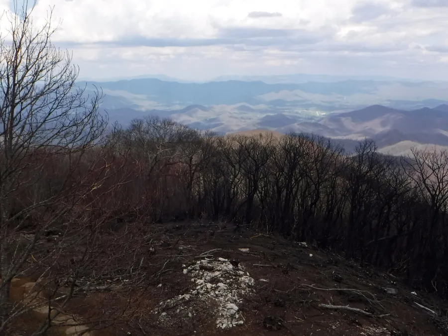 View from Wayah Bald