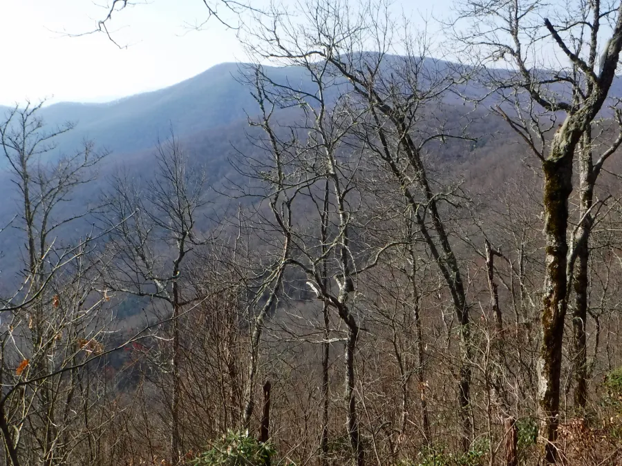 Wesser Bald and Fork Mountain