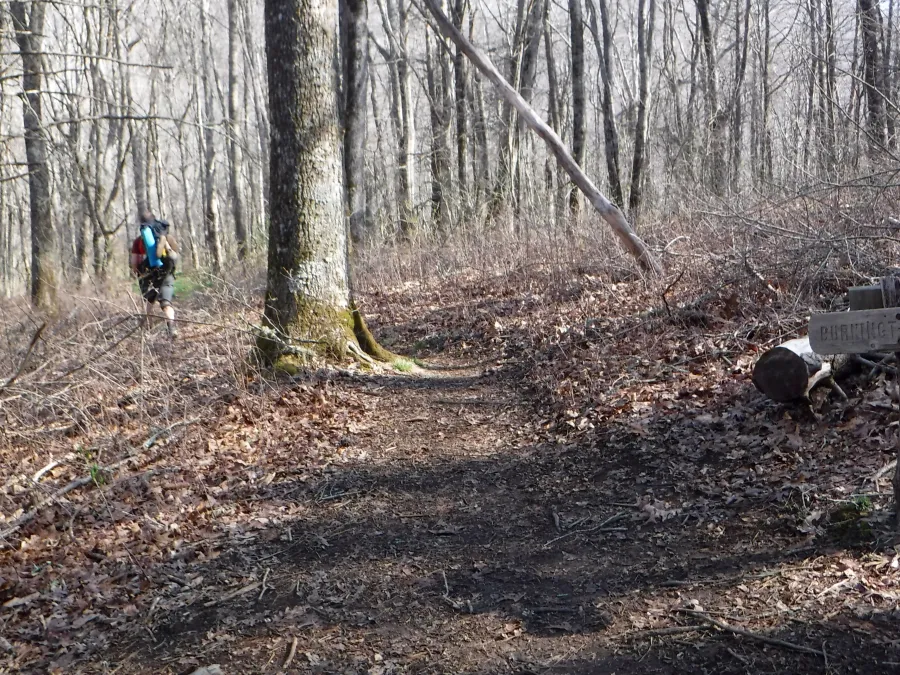 Burningtown Gap