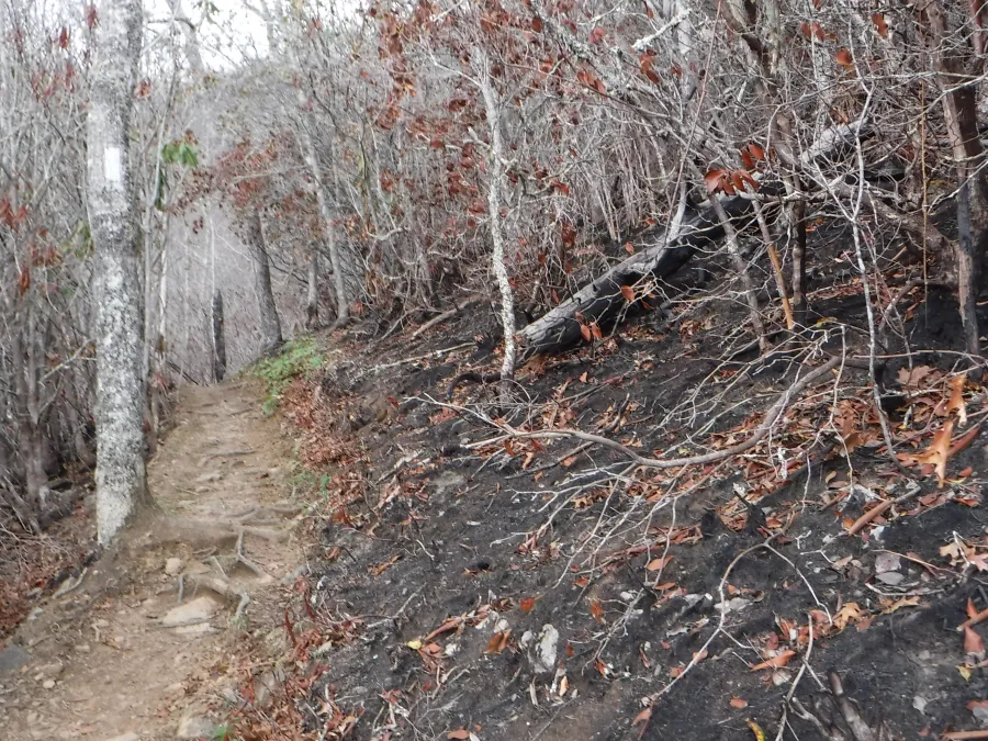 The trail leading to Wesser Tower