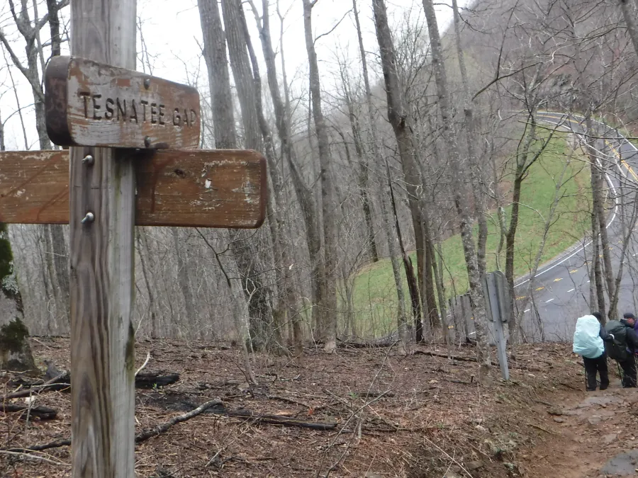 Tesnatee Gap