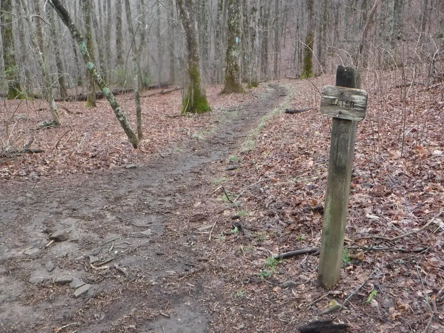 Hogpen Gap 