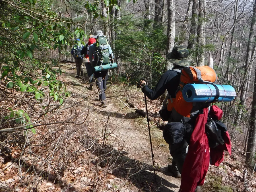 Group of hikers 