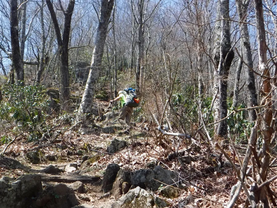 Climbing Albert Mountain
