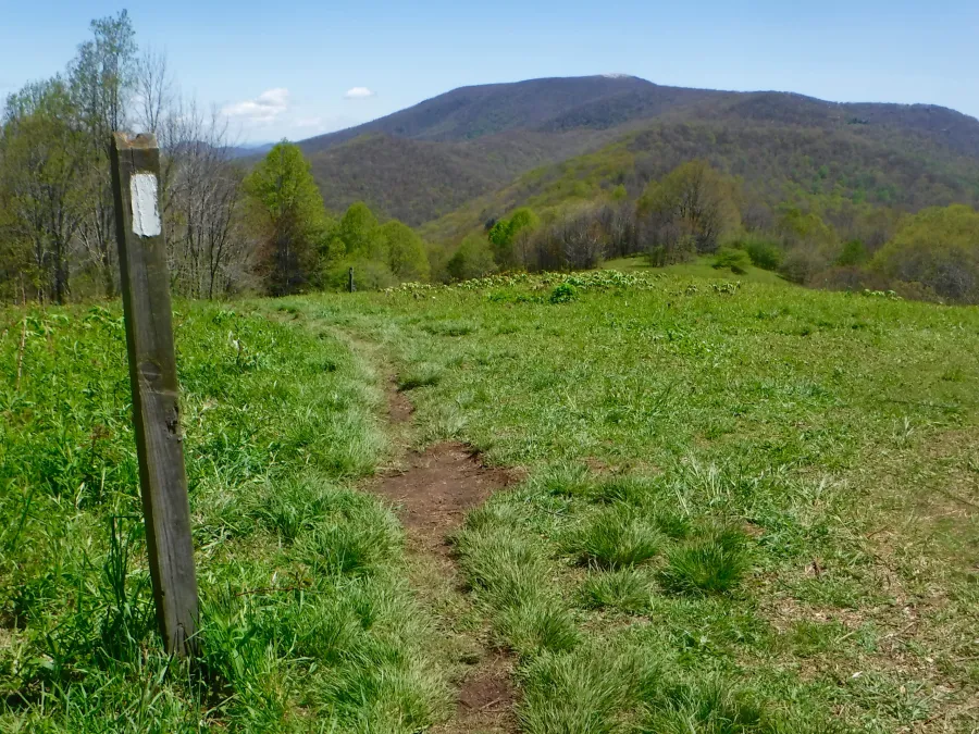 View of Big Bald