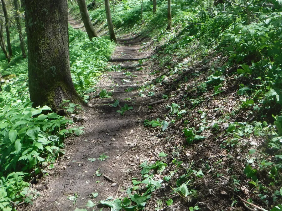 Beautifully-maintained trail