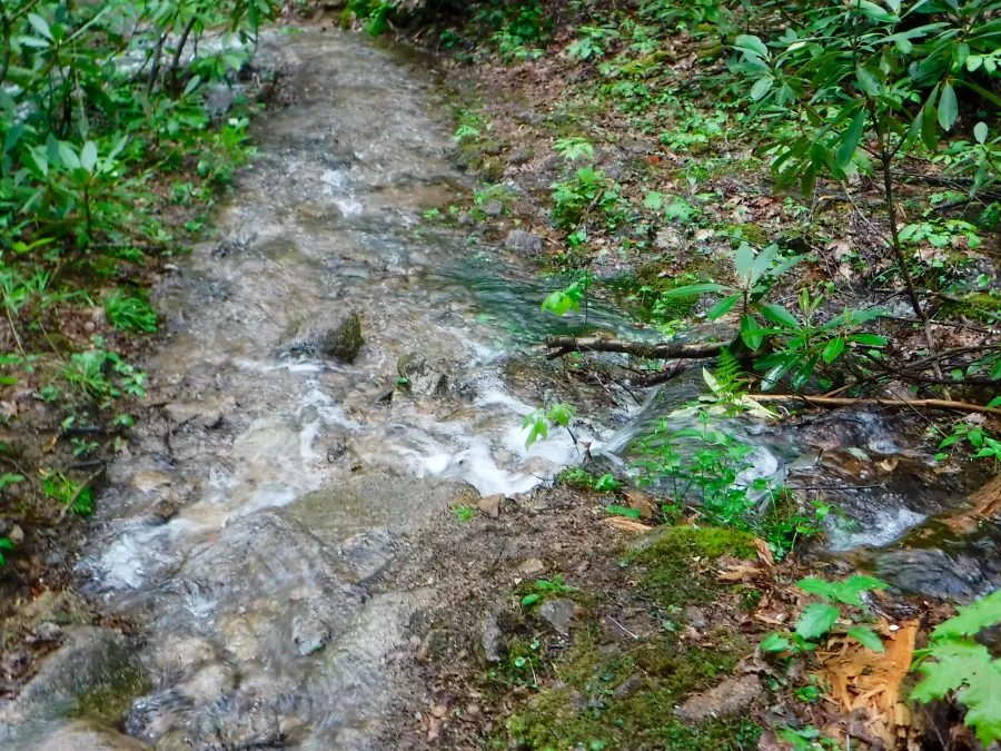 Rushing water on the trail