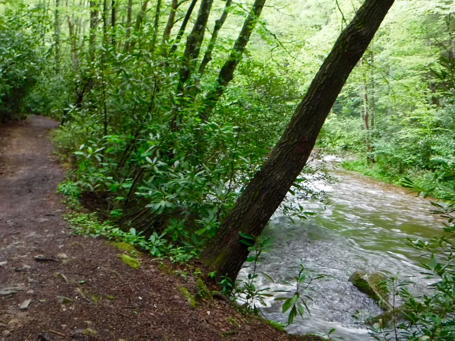  Laurel Fork Creek