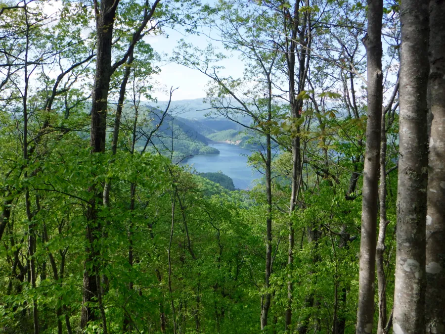 View of Wautauga Reservoir