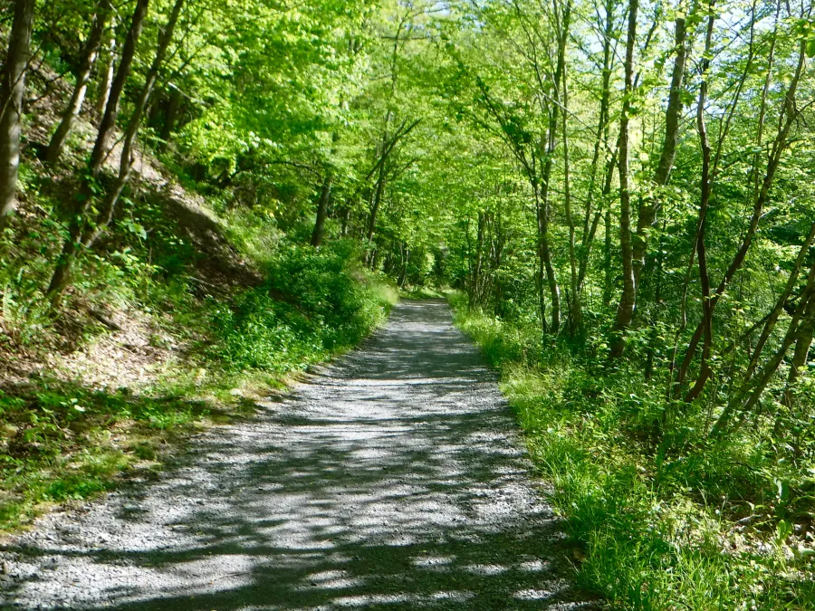 Virginia Creeper Trail