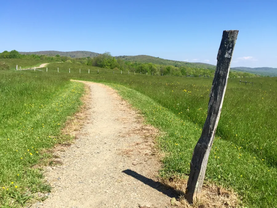 Trail in Osborne Farm meadow