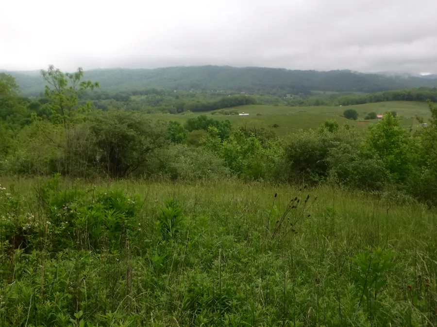 Meadows and farmland