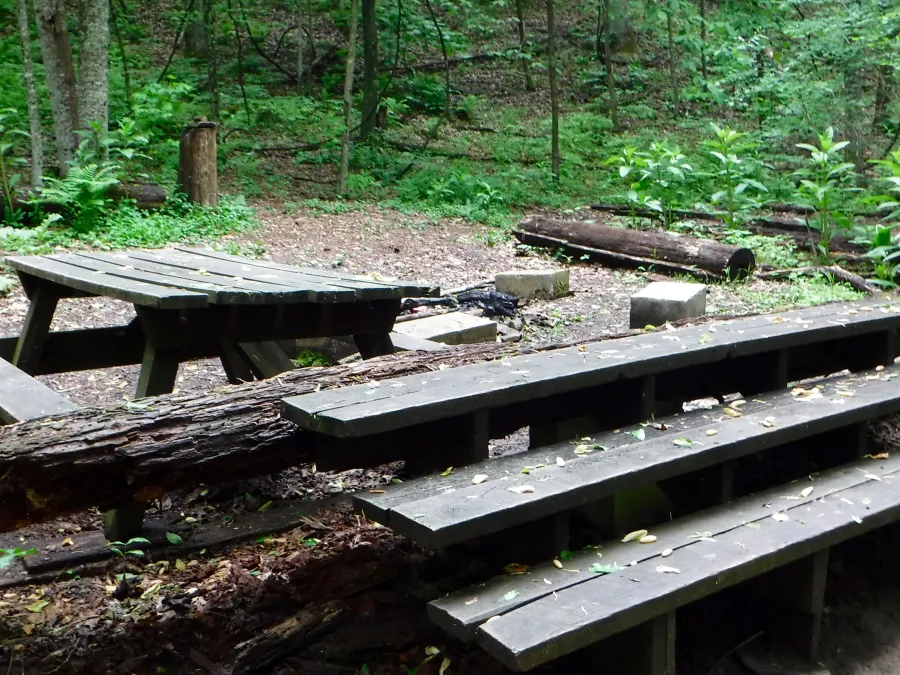 Davis Path campsite