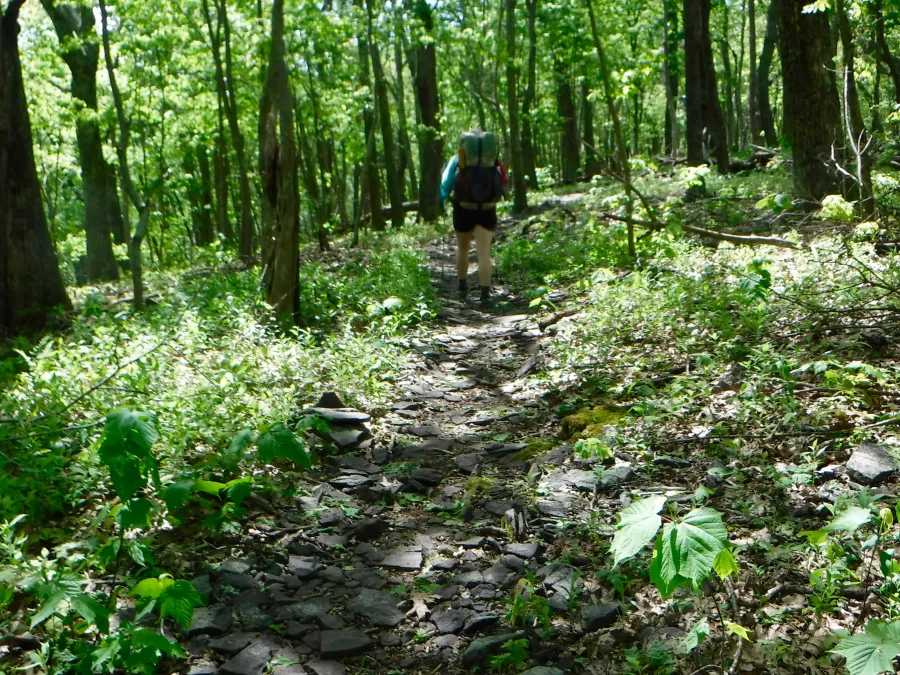 Hiking up the ridge