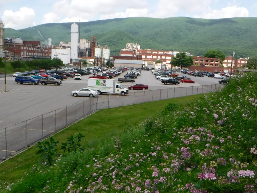 Celanese factory