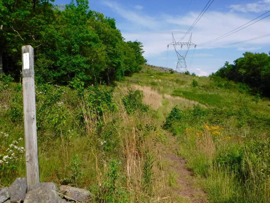 Power line cut