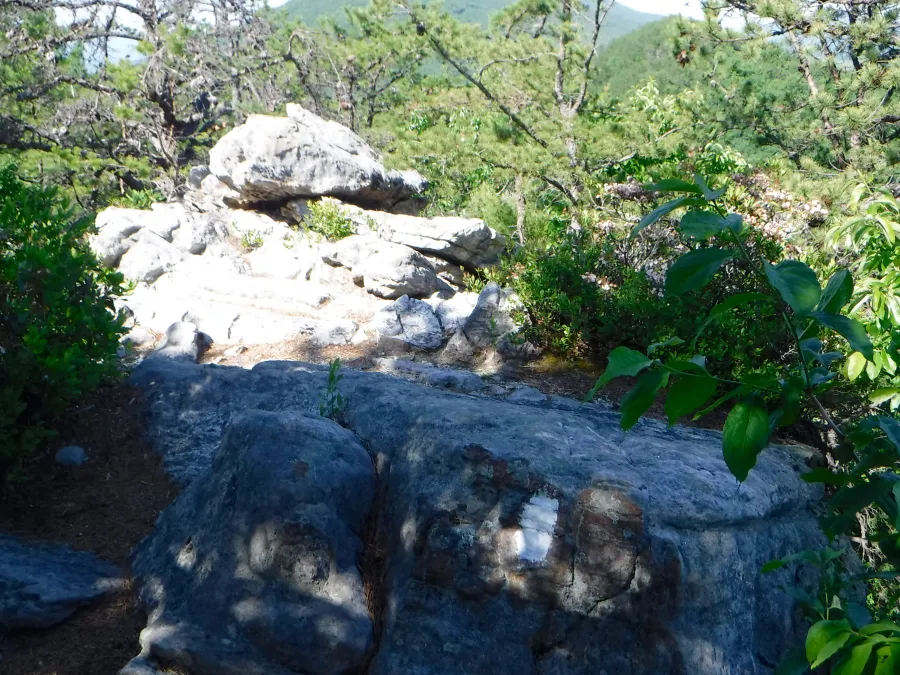 Rock ledge