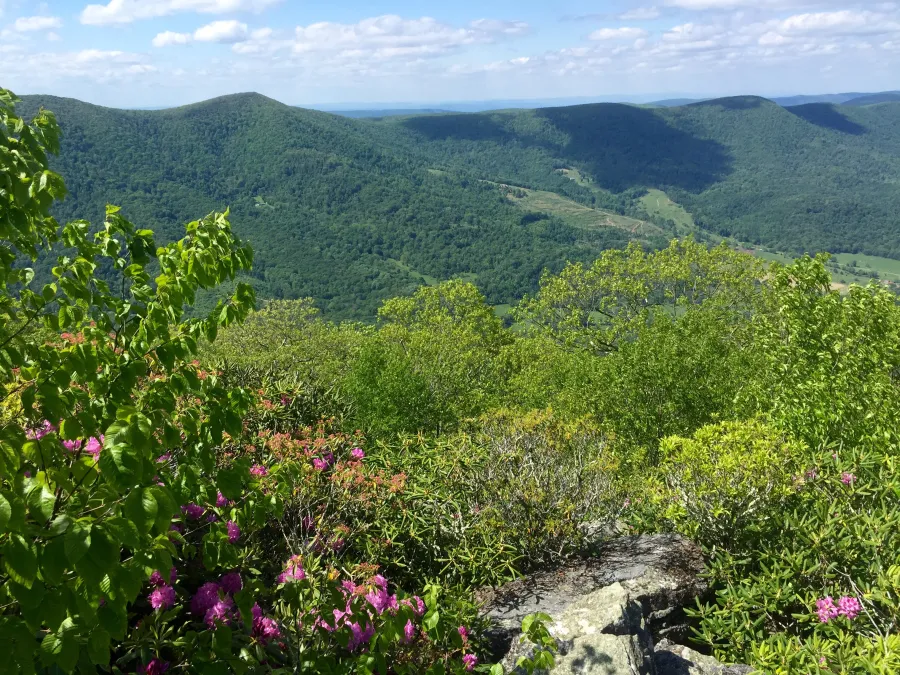 View from the ridge