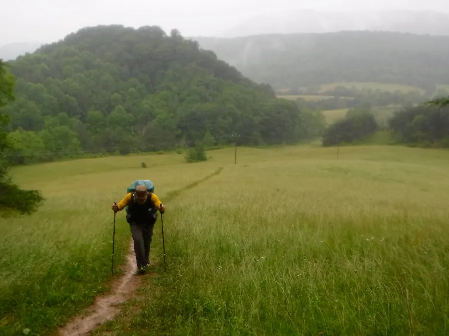 Crossing a large pasture