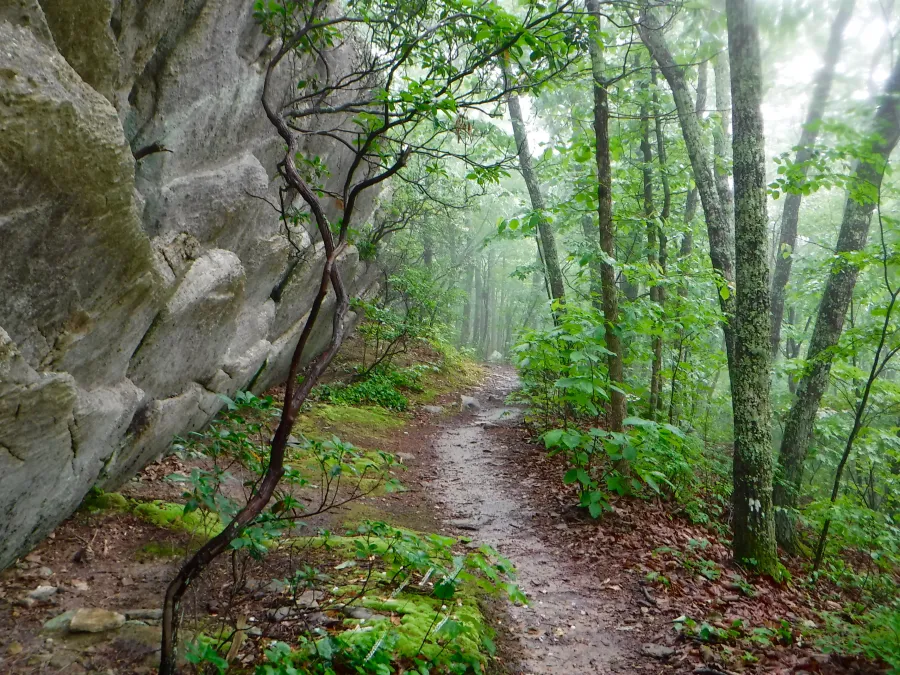 Large rock