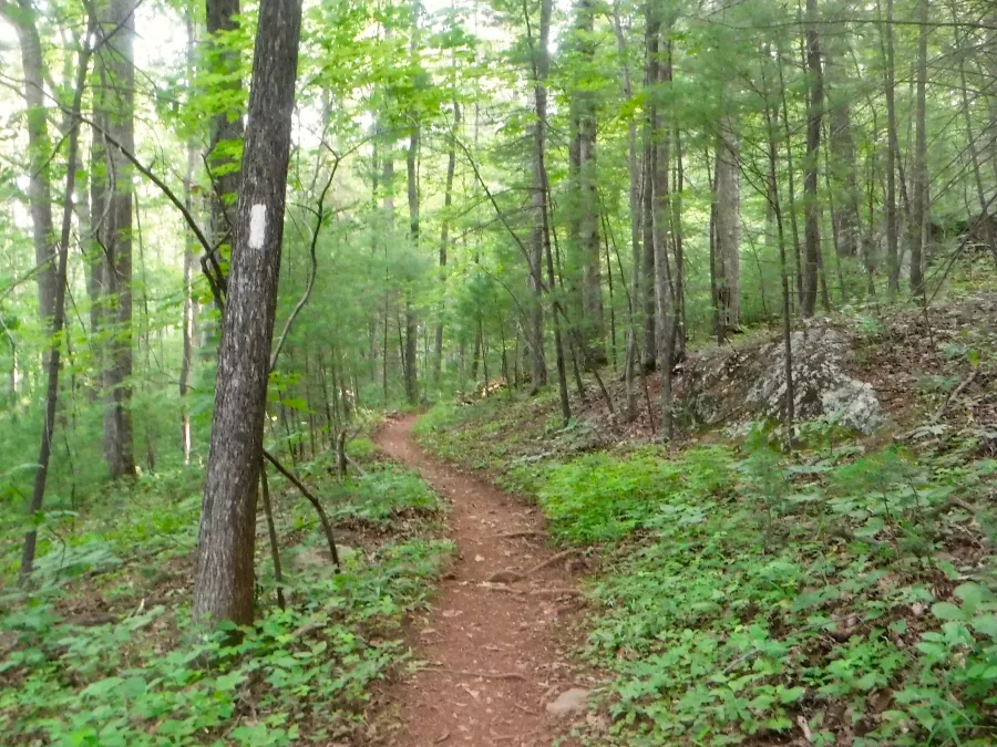 Flat and easy trail