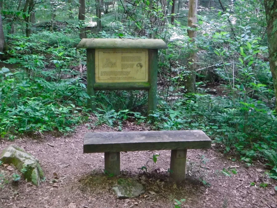 Bench and information sign