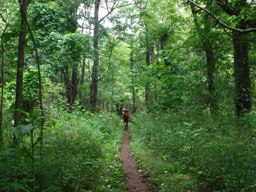 Flat and grassy trail