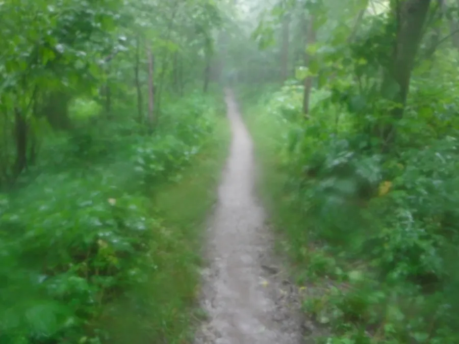 Rain on the trail