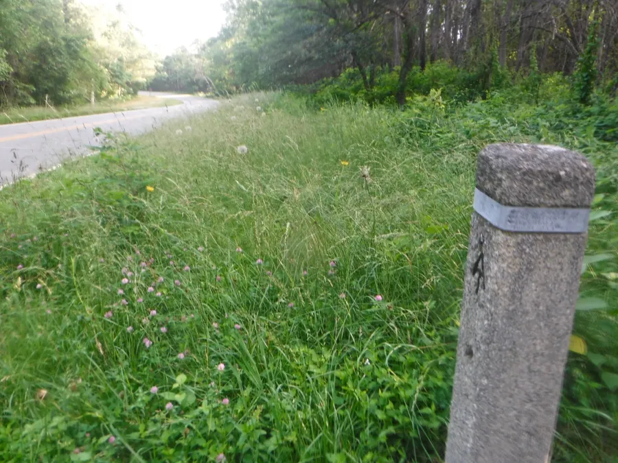 Skyline Drive at Pinefield Gap