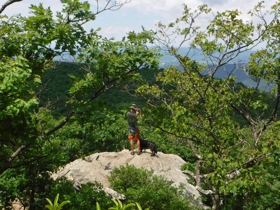 Rock outcrop on Bearfence Mountain