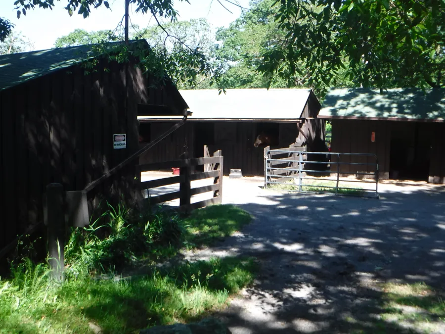 Skyland horse stable