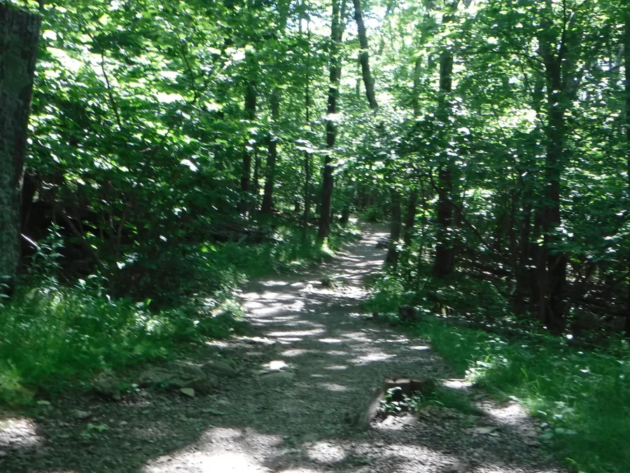 Continuing on flat trail