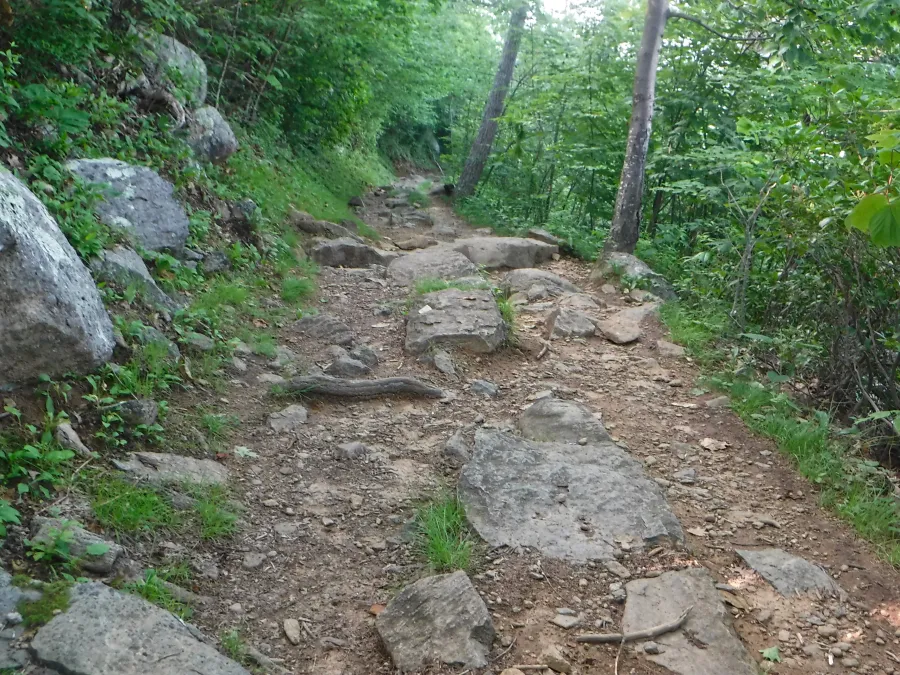 Rocky trail again
