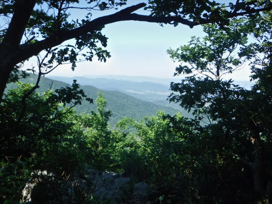 Narrow view from the trail